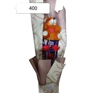 Chocolate teddy