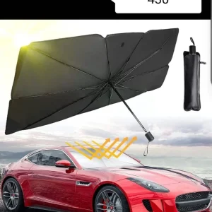 Car Windshield