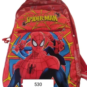 School Bag Laptop