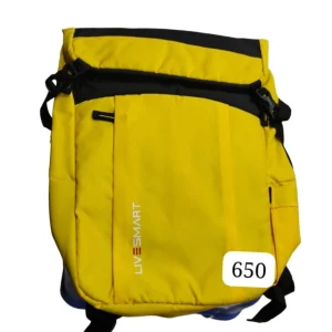 Laptop Backpack
