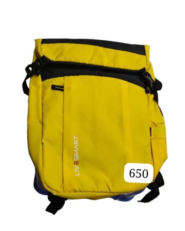 Laptop Backpack