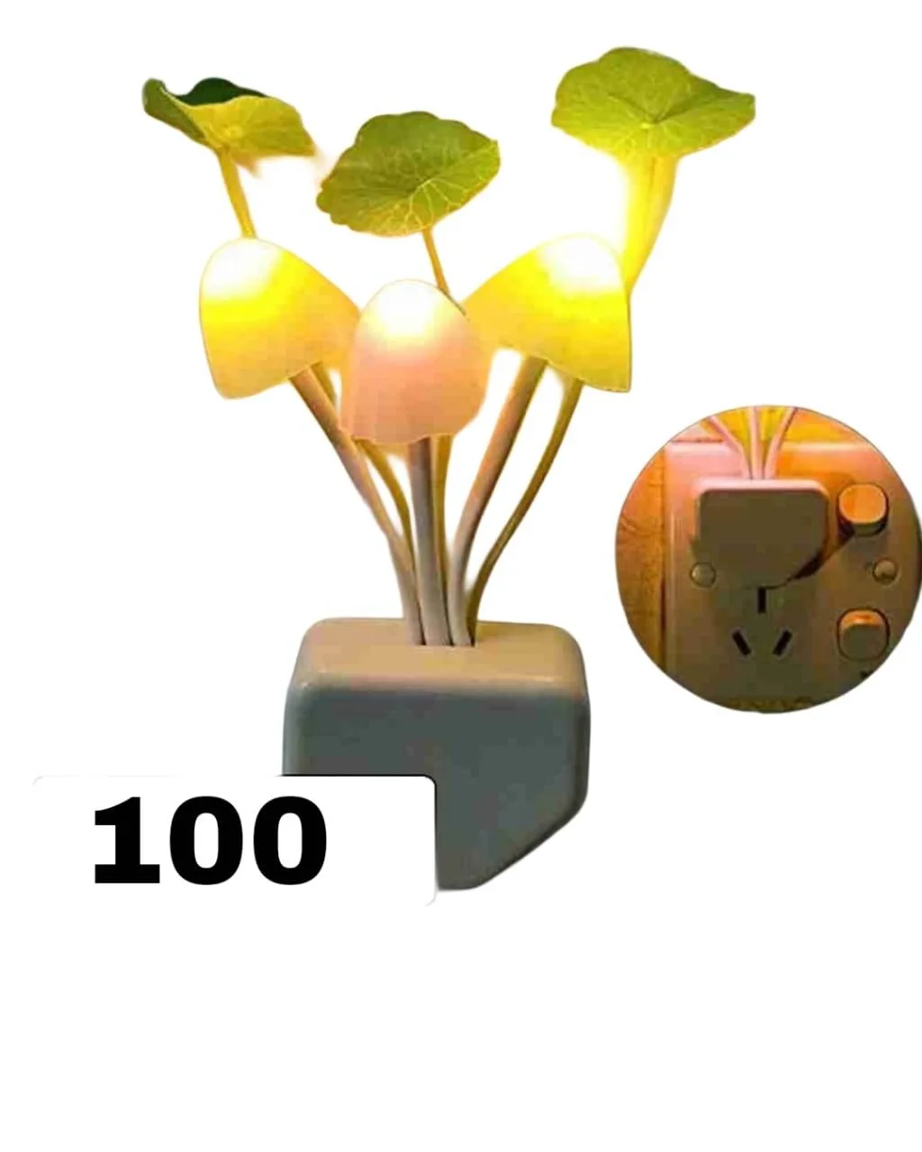 LED Night Light