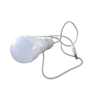 USB LED Bulb