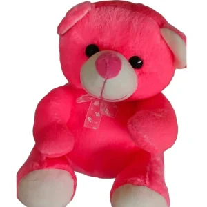 Teddy Bear Stuffed