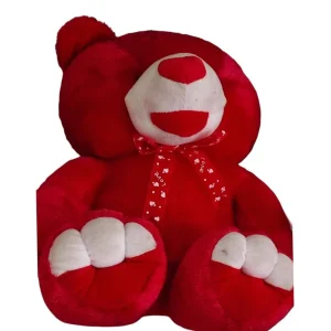 Plush Teddy Bear