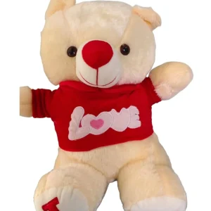 Soft Teddy Bear