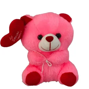 Teddy Day Special