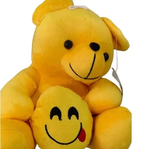 Soft teddy bear