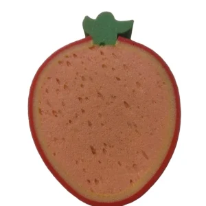 Cleaning Sponge