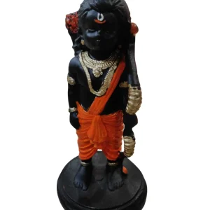 shri ramlala murti ram