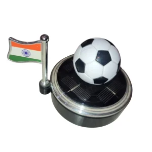 Indian Flags Car