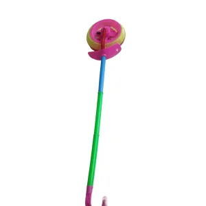 Push Along Wheel Toy