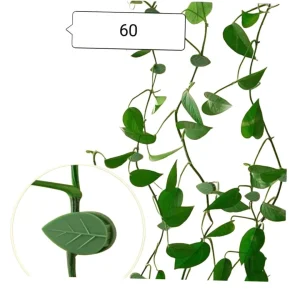 Plant Climbing Wall