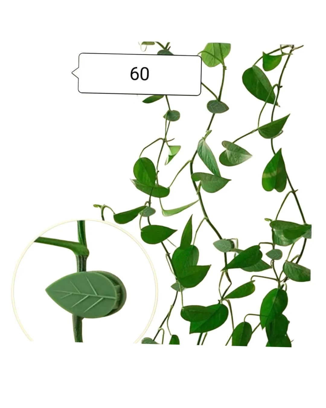Plant Climbing Wall