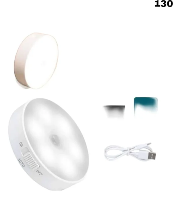 Motion Sensor Light