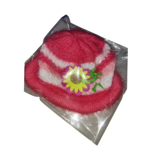 Winter warm cap