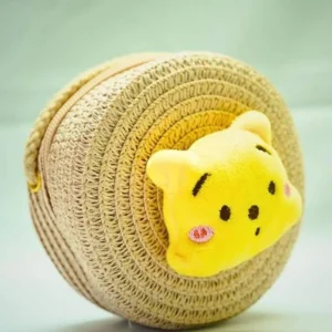 Straw Crossbody Bag