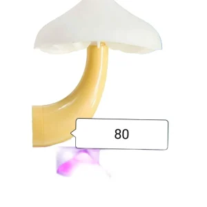 Mushroom Wall Socket Lamp