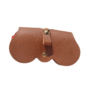 Sunglass Bag case