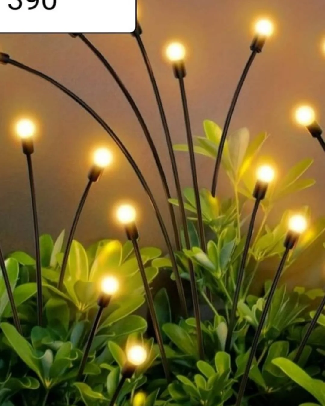 Lights for Outdoor Garden
