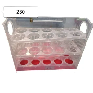 Egg Tray Container