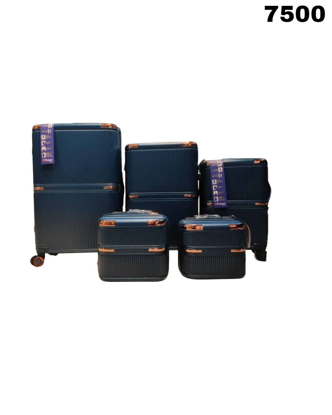 Trolley bag