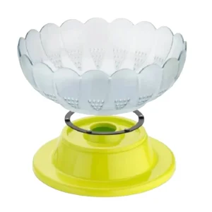 Fruit and Vegetable Bowl
