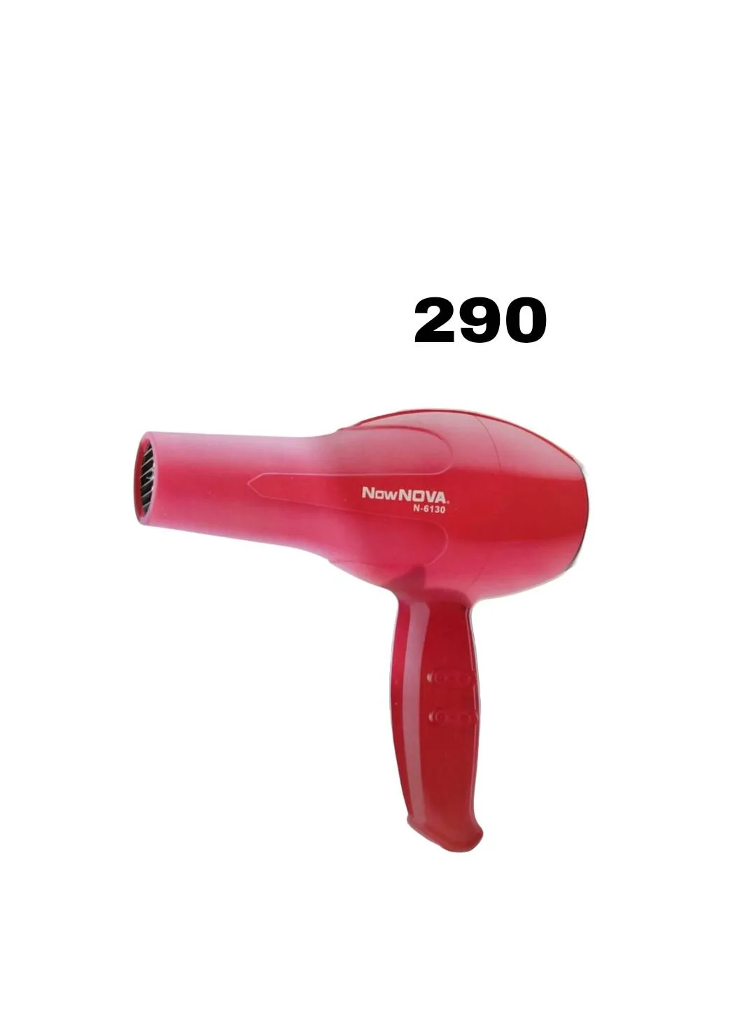 Professional Hair Dryer