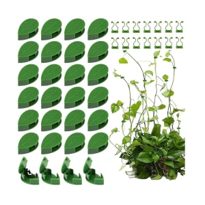 Plant Support for Climbers