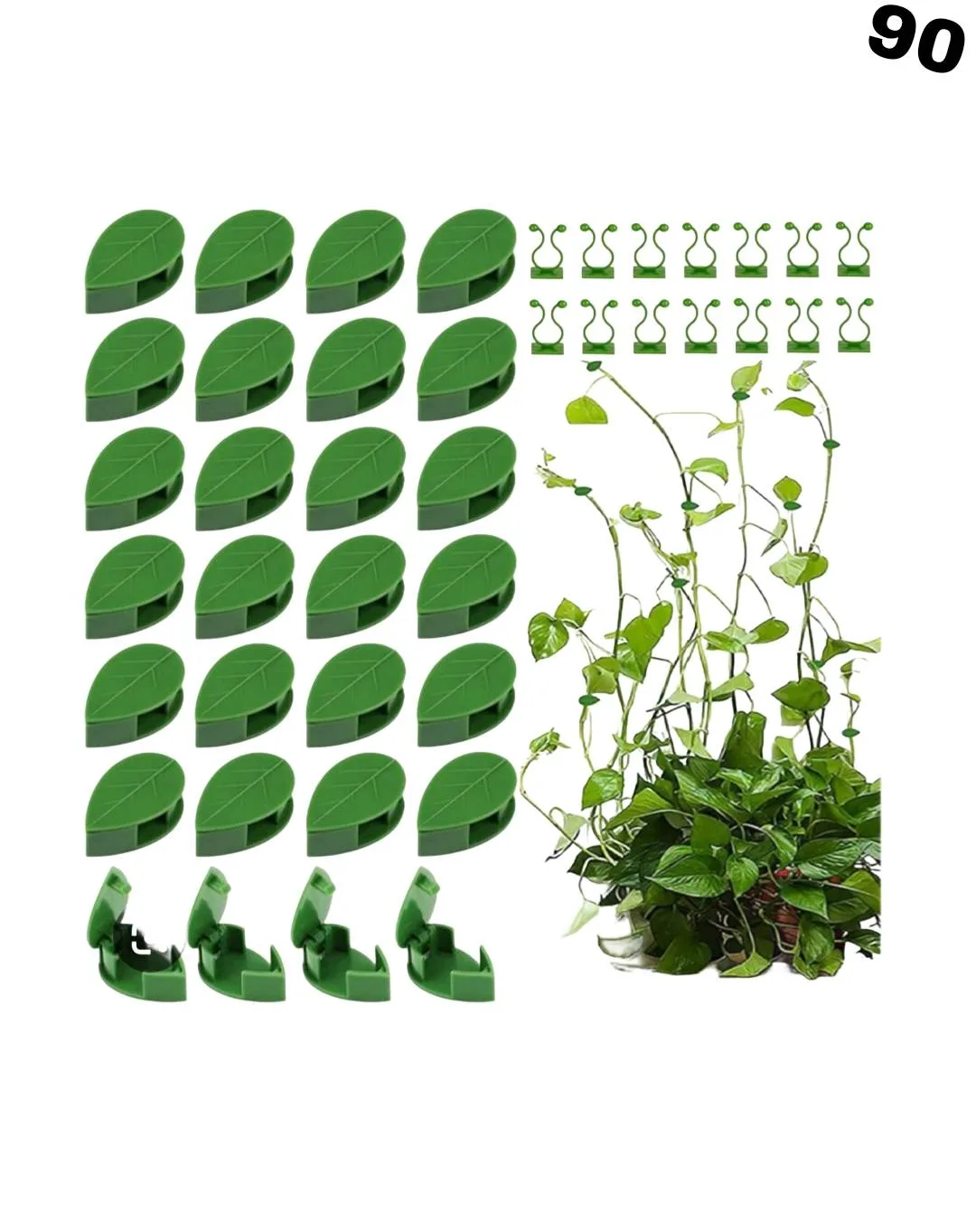 Plant Support for Climbers